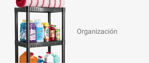 Organización