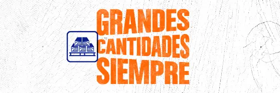 GRANDES CANTIDADES SIEMPRE